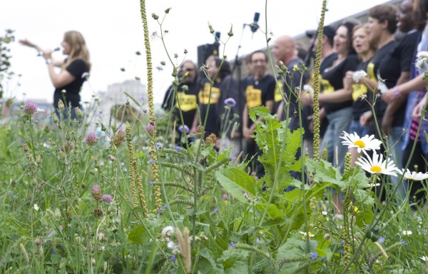The Choir with No Name sing their heart out amongst the flowers on The Queen Elizabeth Hall Roof Garden